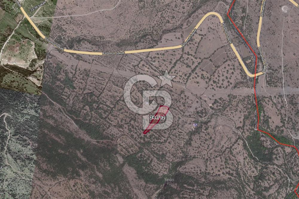 CB ODAK'TAN Aliağa Karakuzuda Yatırımlık Tarla