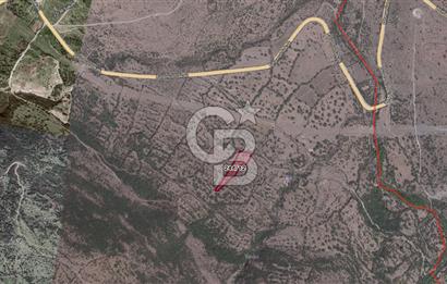 CB ODAK'TAN Aliağa Karakuzuda Yatırımlık Tarla