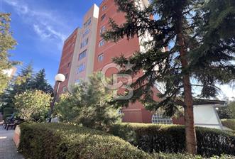 CB ERVA'DAN SOYAK BLOKLARI KİRALIK DUBLKES 1+1 EŞYALI DAİRE - 1 - 327419