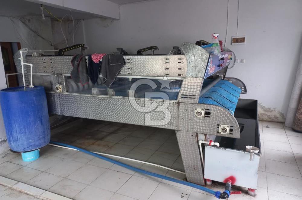 DEVREN KİRALIK HALI YIKAMA-STOR PERDE VE KOLTUK YIKAMA İŞLETMESİ