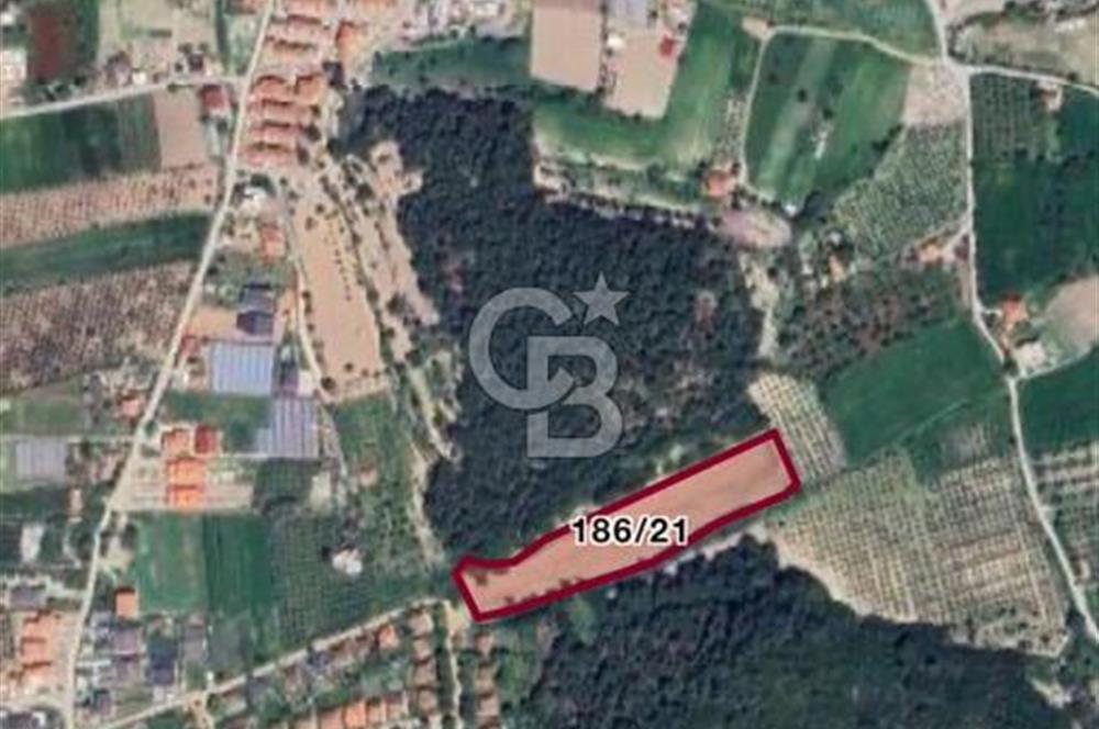 URLA KUŞÇULAR’DA PRESTİJLİ YATIRIM FIRSATI