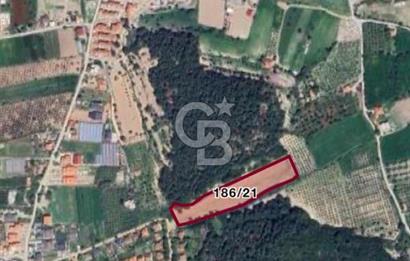 URLA KUŞÇULAR’DA PRESTİJLİ YATIRIM FIRSATI