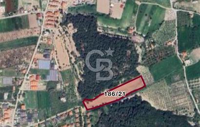 URLA KUŞÇULAR’DA PRESTİJLİ YATIRIM FIRSATI