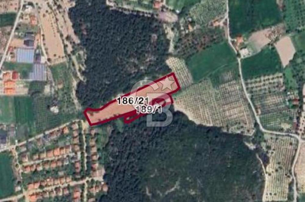 URLA KUŞÇULAR’DA PRESTİJLİ YATIRIM FIRSATI