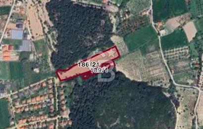 URLA KUŞÇULAR’DA PRESTİJLİ YATIRIM FIRSATI