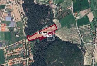 URLA KUŞÇULAR’DA PRESTİJLİ YATIRIM FIRSATI - 1 - 327423