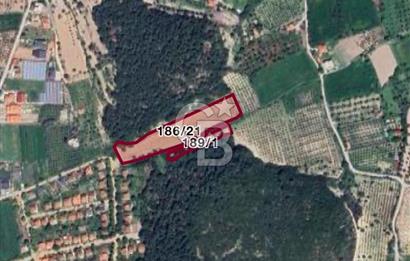 URLA KUŞÇULAR’DA PRESTİJLİ YATIRIM FIRSATI