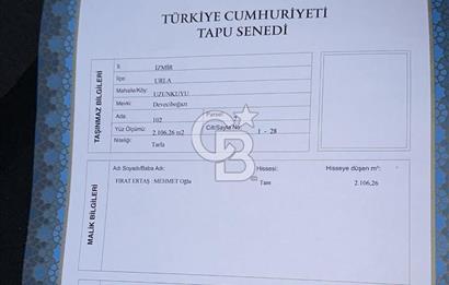 İZMİR URLA UZUNKUYUDA SATILIK TARLA