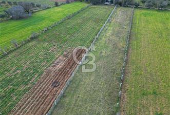 İZMİR URLA UZUNKUYUDA SATILIK TARLA - 3 - 327439