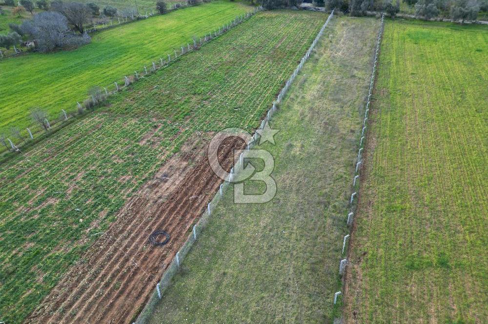 İZMİR URLA UZUNKUYUDA SATILIK TARLA