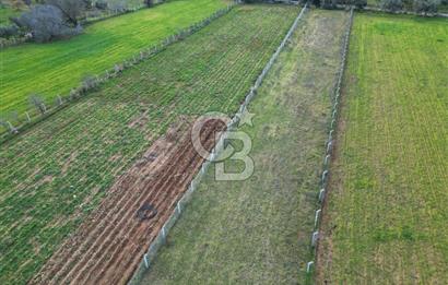 İZMİR URLA UZUNKUYUDA SATILIK TARLA