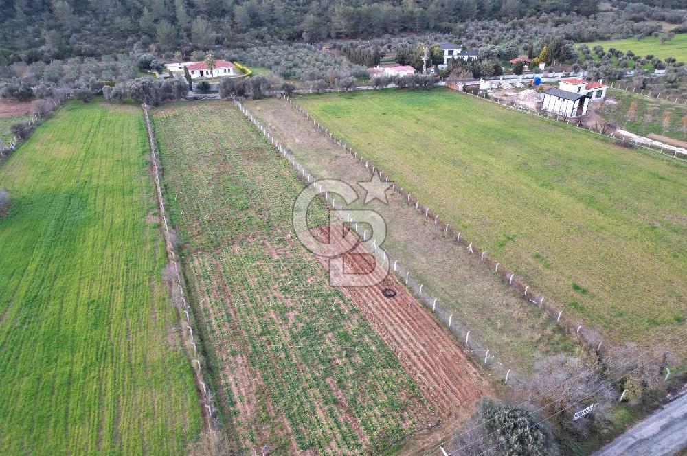 İZMİR URLA UZUNKUYUDA SATILIK TARLA