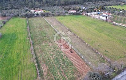 İZMİR URLA UZUNKUYUDA SATILIK TARLA
