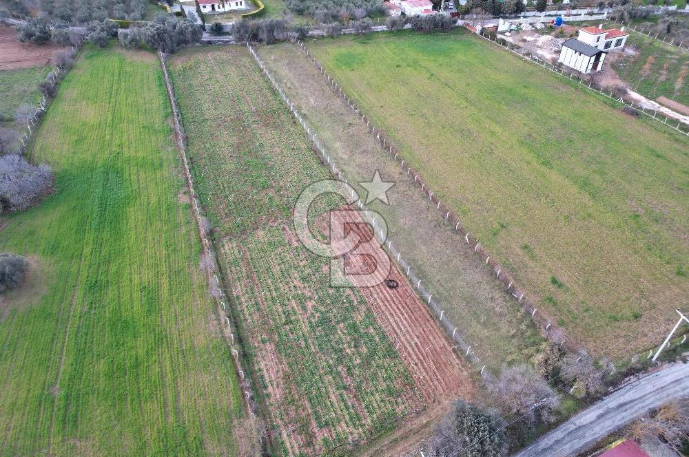 İZMİR URLA UZUNKUYUDA SATILIK TARLA