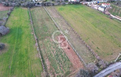 İZMİR URLA UZUNKUYUDA SATILIK TARLA