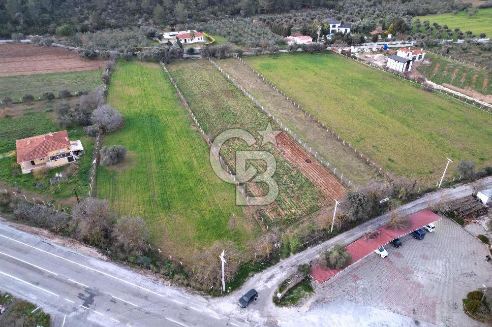 İZMİR URLA UZUNKUYUDA SATILIK TARLA