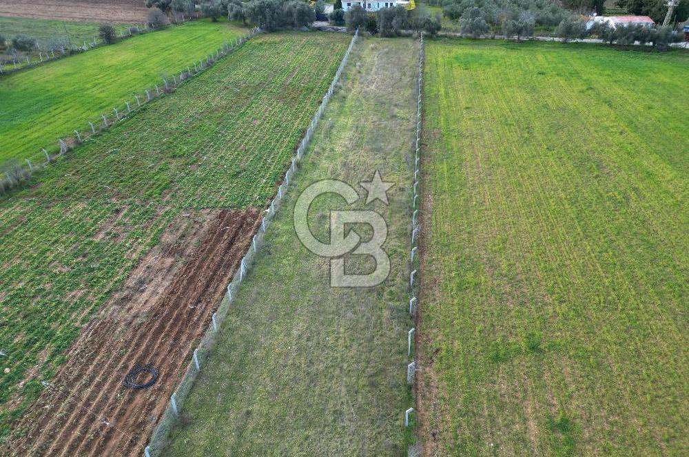 İZMİR URLA UZUNKUYUDA SATILIK TARLA