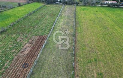 İZMİR URLA UZUNKUYUDA SATILIK TARLA