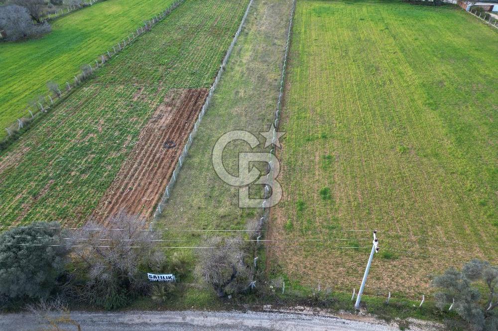 İZMİR URLA UZUNKUYUDA SATILIK TARLA