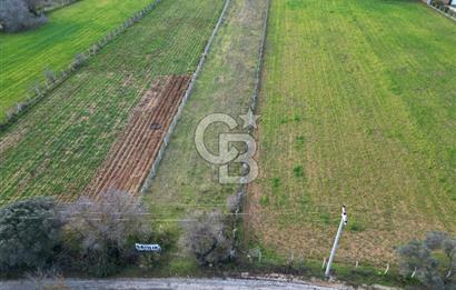 İZMİR URLA UZUNKUYUDA SATILIK TARLA