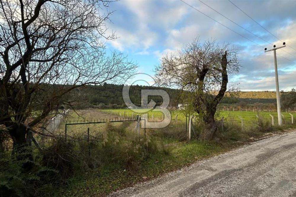 İZMİR URLA UZUNKUYUDA SATILIK TARLA