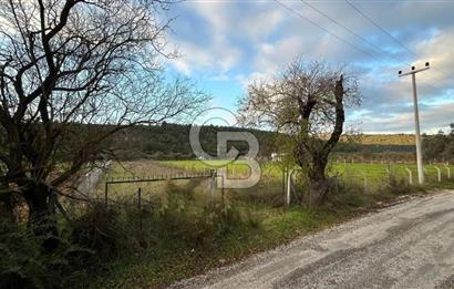 İZMİR URLA UZUNKUYUDA SATILIK TARLA