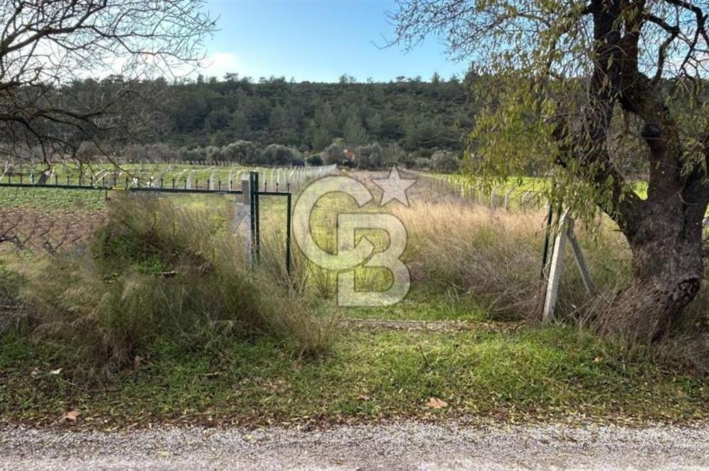 İZMİR URLA UZUNKUYUDA SATILIK TARLA