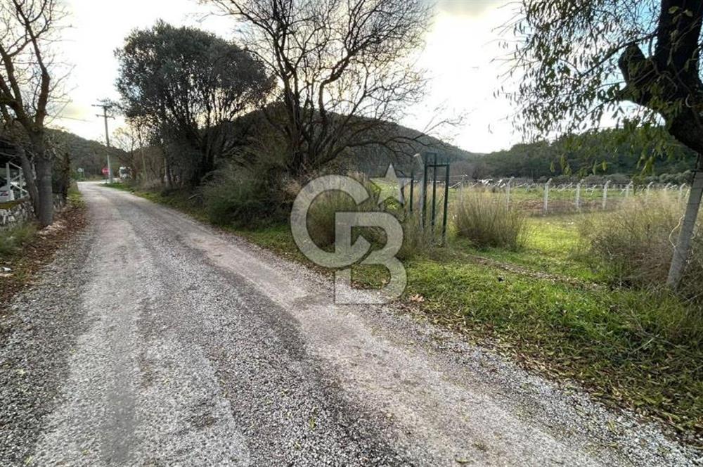 İZMİR URLA UZUNKUYUDA SATILIK TARLA