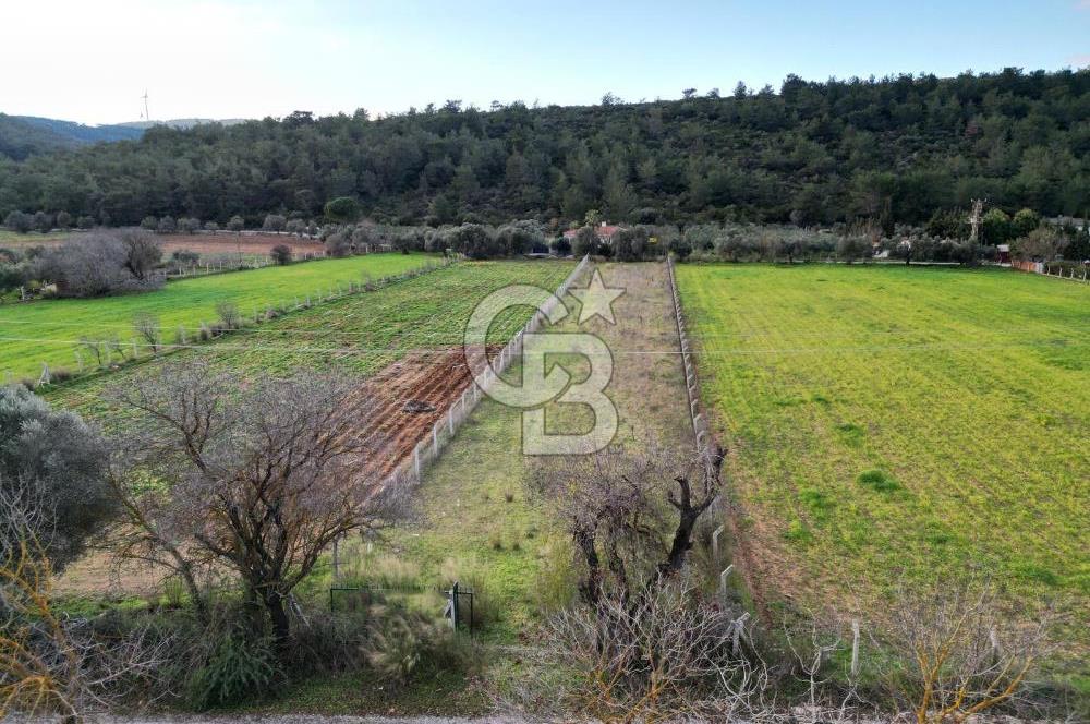 İZMİR URLA UZUNKUYUDA SATILIK TARLA