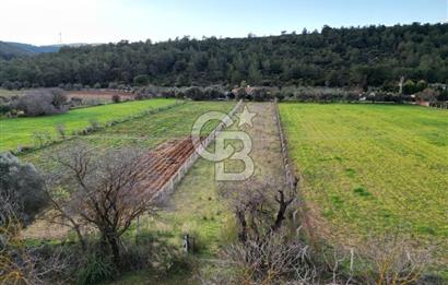 İZMİR URLA UZUNKUYUDA SATILIK TARLA