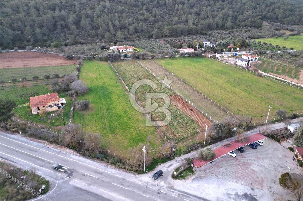 İZMİR URLA UZUNKUYUDA SATILIK TARLA