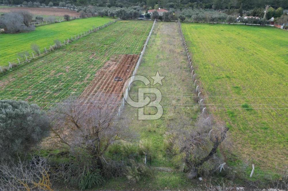 İZMİR URLA UZUNKUYUDA SATILIK TARLA