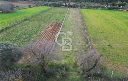 İZMİR URLA UZUNKUYUDA SATILIK TARLA