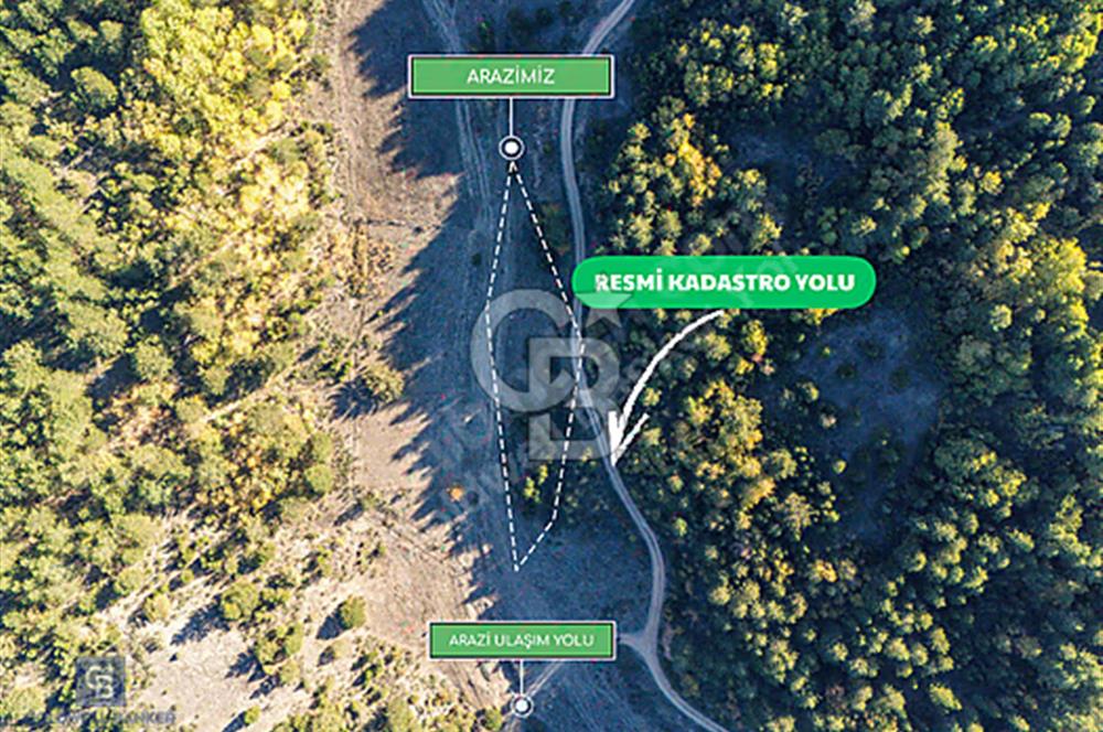 RESMİ YOLA CEPHELİ MÜSTAKİL TAPULU YATIRIMLIK TARLA