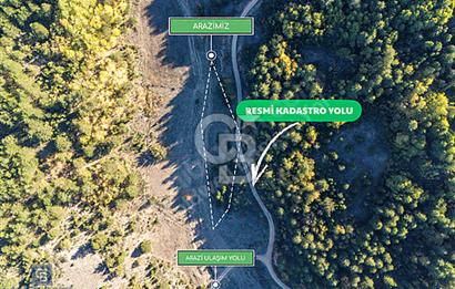 RESMİ YOLA CEPHELİ MÜSTAKİL TAPULU YATIRIMLIK TARLA