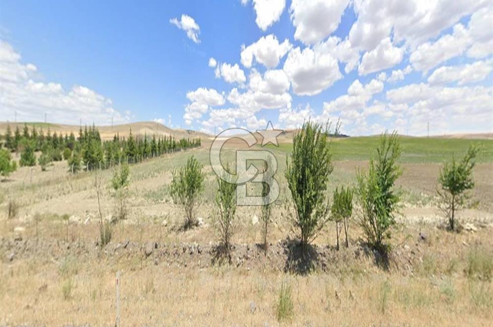 ANKARA KONYA KARAYOLUNA CEPHE, KONYA YÖNÜNDE SATILIK TARLA