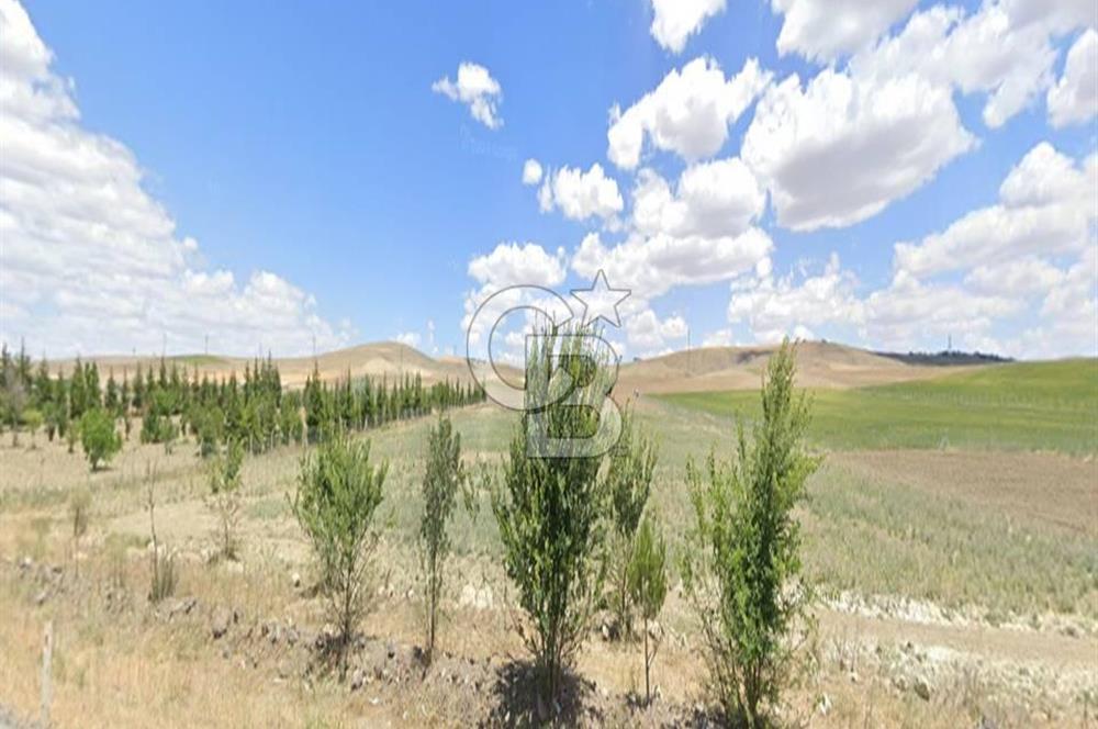 ANKARA KONYA KARAYOLUNA CEPHE, KONYA YÖNÜNDE SATILIK TARLA