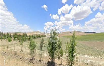 ANKARA KONYA KARAYOLUNA CEPHE, KONYA YÖNÜNDE SATILIK TARLA