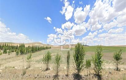 ANKARA KONYA KARAYOLUNA CEPHE, KONYA YÖNÜNDE SATILIK TARLA