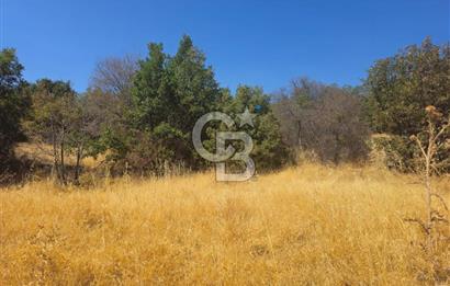 Manisa Kula'da Satılık Yola Sıfır Cepheli 11.500 M2 Tarla