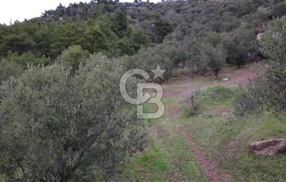 Kuzey Egenin Cenneti Sazlı Köyünde Satılık Taş Ev