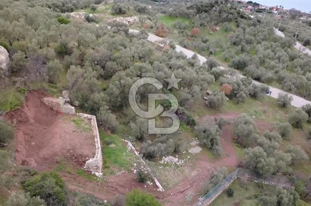 Kuzey Egenin Cenneti Sazlı Köyünde Satılık Taş Ev