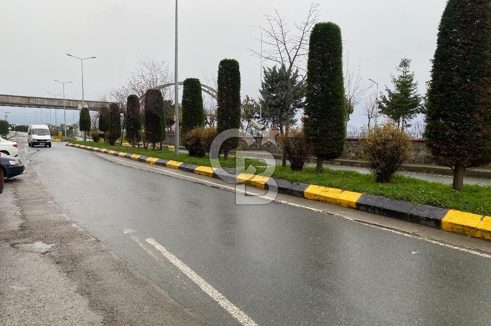 ARSİN YEŞİLYALI'DA YOLA CEPHELİ GALERİ KATLI KİRALIK DÜKKAN