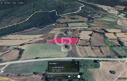 Kazdağları’nın Eteklerinde, Termal Turizm Bölgesinde Bungalovlu 3448 m² SATILIK Tarla!