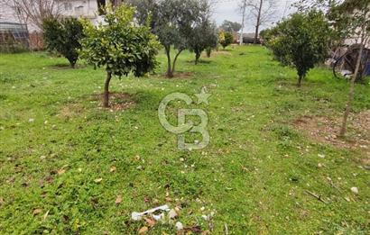 DÖŞEMEALTI ÇIĞLIK'TA SATILIK ARSA