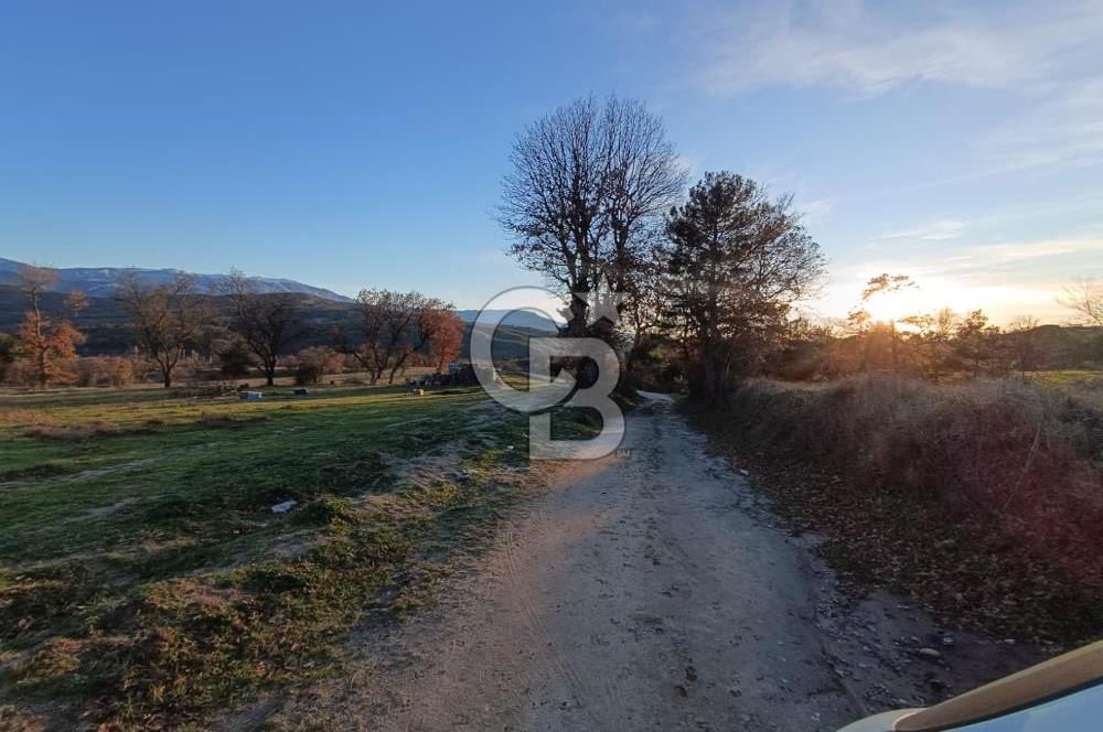 MUSELAND-ÇANAKKALE BAYRAMİÇ TONGURLU DA SATILIK İMARLI ARSA