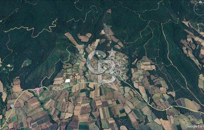 Kazdağları’nın Eteklerinde, Termal Turizm Bölgesinde Bungalovlu 3448 m² SATILIK Tarla!