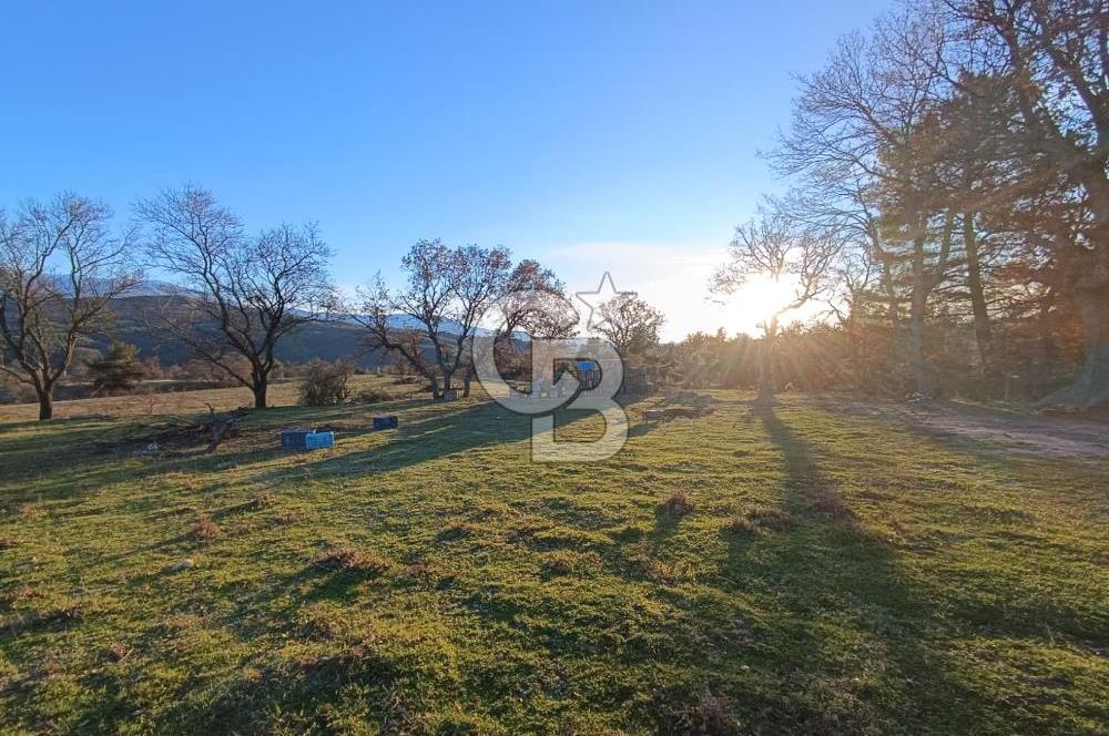 MUSELAND-ÇANAKKALE BAYRAMİÇ TONGURLU DA SATILIK İMARLI ARSA