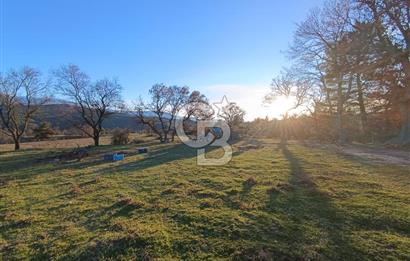 MUSELAND-ÇANAKKALE BAYRAMİÇ TONGURLU DA SATILIK İMARLI ARSA