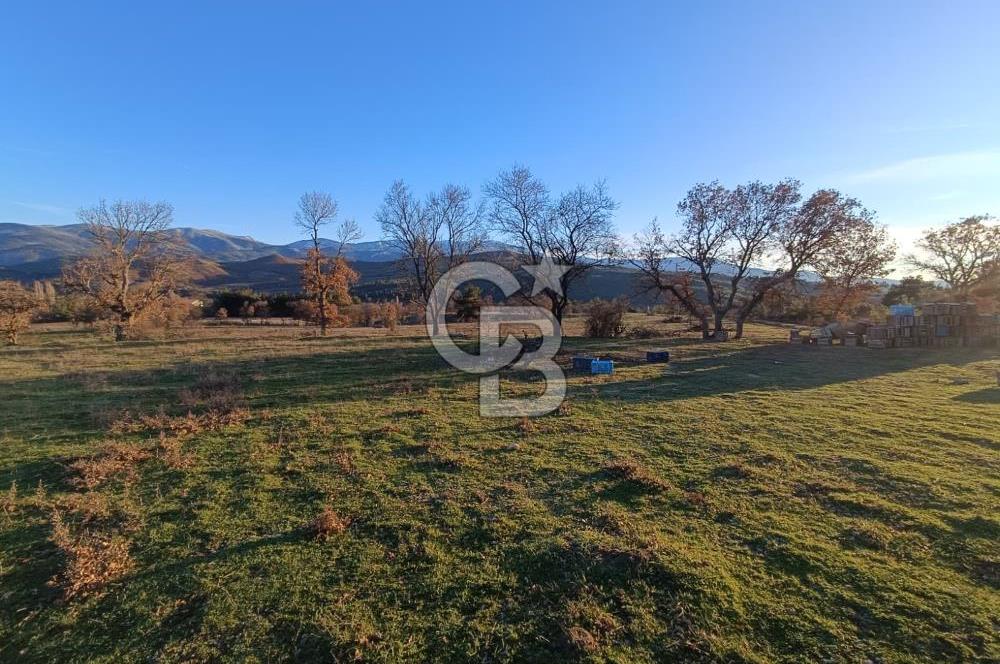 MUSELAND-ÇANAKKALE BAYRAMİÇ TONGURLU DA SATILIK İMARLI ARSA